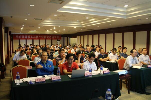 綜合能源服務與新產業新業態研討會在京召開