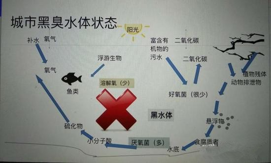 江蘇億元投資治污新技術 石墨烯能否治理黑臭水體?