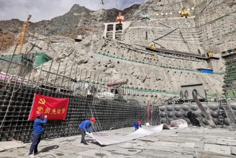 楊房溝:黨旗飄揚在“疫”線