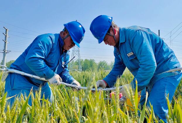 安徽利辛供電:加速“引江濟淮”工程配套電力線路建設