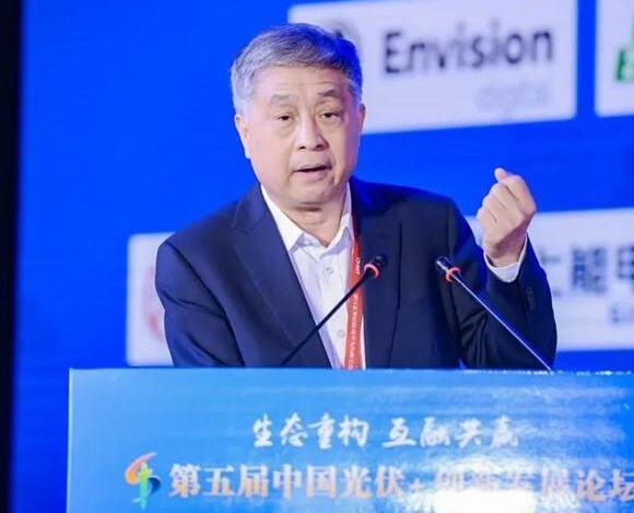 王勃華：我國光伏行業發展已形成“雙循環”格局