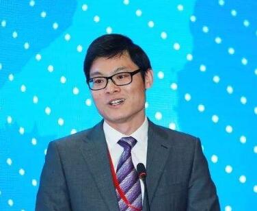 袁家海:由德國“退煤”鏡鑒中國煤電發展之路