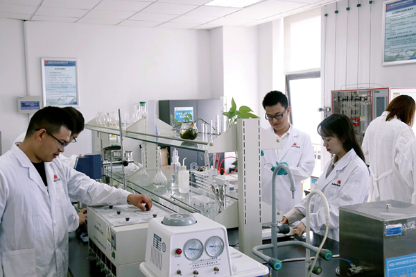 大唐環境：人才培養 為高質量發展注入新動能