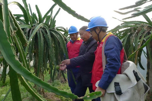 國網寧海縣供電公司：“電力紅馬甲”護航，退役軍人鄉村創業“紅如火”
