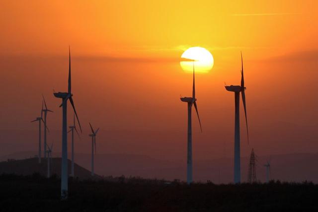 煙臺電網風電出力創歷史新高
