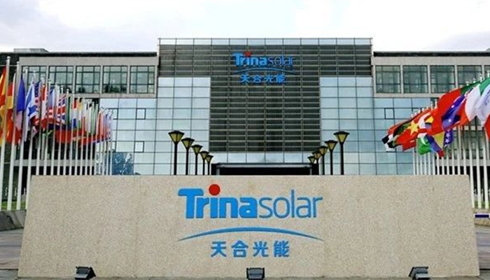 頭部優勢明顯、海外增長顯著,天合光能2020年業績或將翻倍