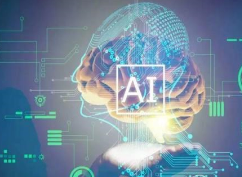 數字賦權驅動數字政府,建立數字時代典范