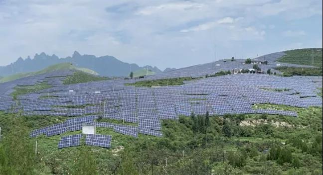 少長一棵草，多發一度電，助力碳中和