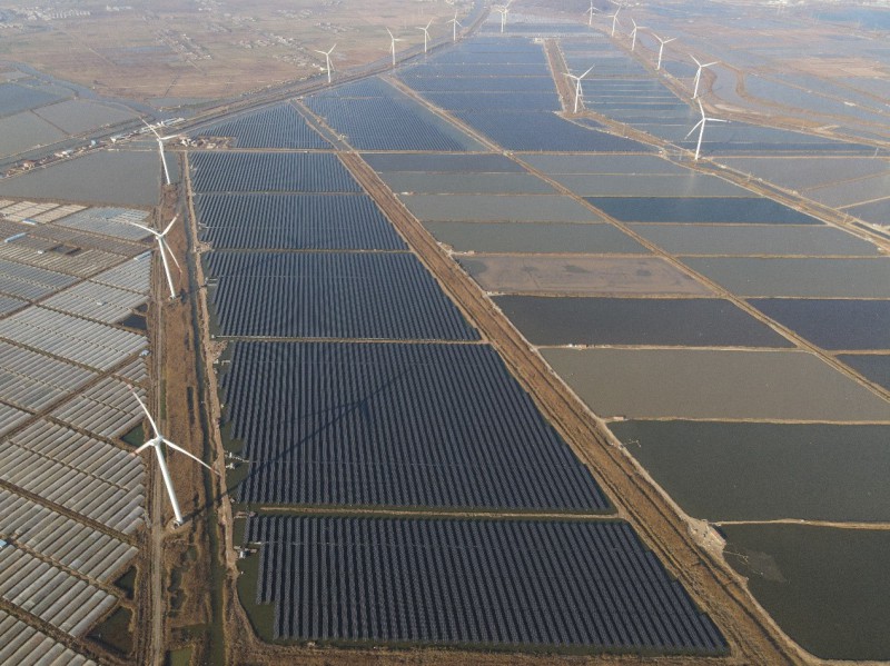 加速能源轉型|江蘇省單體規模最大的平價上網示范項目成功并網