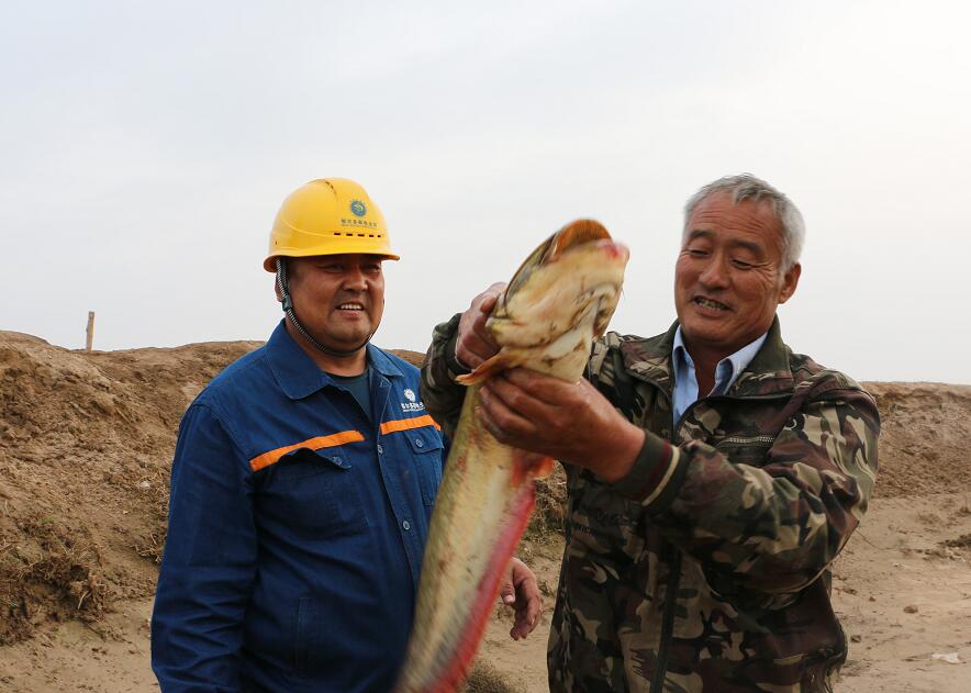 村美產業興 電足日子富——達拉特旗農網改造服務鄉村振興工作紀實