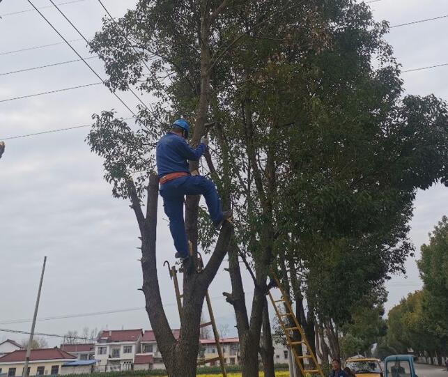 國網城固縣供電公司積極開展春季樹障清理工作，打通線路安全通道  　　中國電力網訊  陽春三月，草長鶯飛，又到了樹竹快速生長的季節，茂密的樹木包裹10千伏及0.4千伏導線，“線樹”矛盾愈發嚴重，此時也正