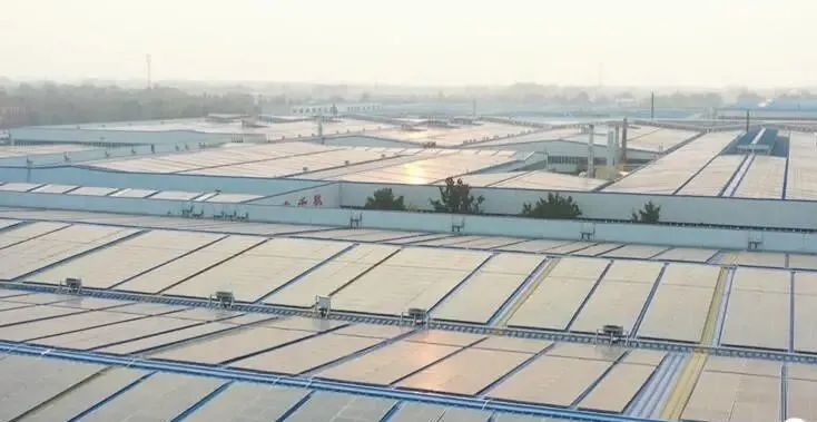 投資達9億！山東寒亭區447MW整縣分布式光伏項目正式啟動