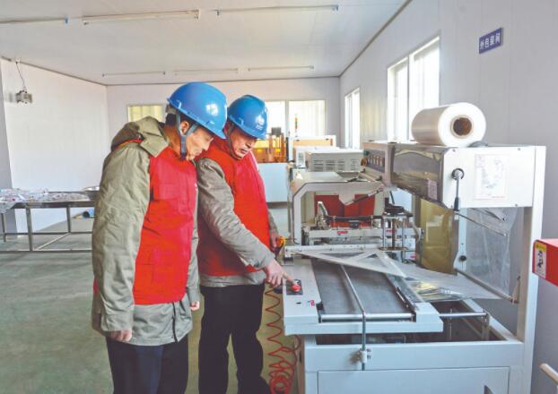 濱海縣供電公司:白首烏產業發展充上“滿格電”