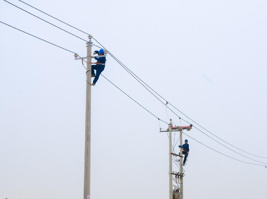 阿拉善供電公司:電網健康“體檢”,從登桿開始