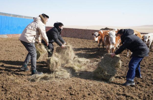 錫林郭勒超高壓供電公司:民族團結一家親 志愿服務進牧區