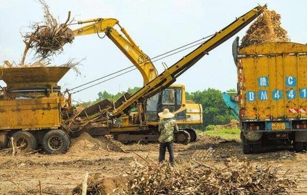 海南省?？诙嗯e措推進秸稈等農林廢棄物綜合利用