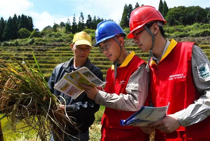 福建福州:金秋好“豐”景 供電服務優