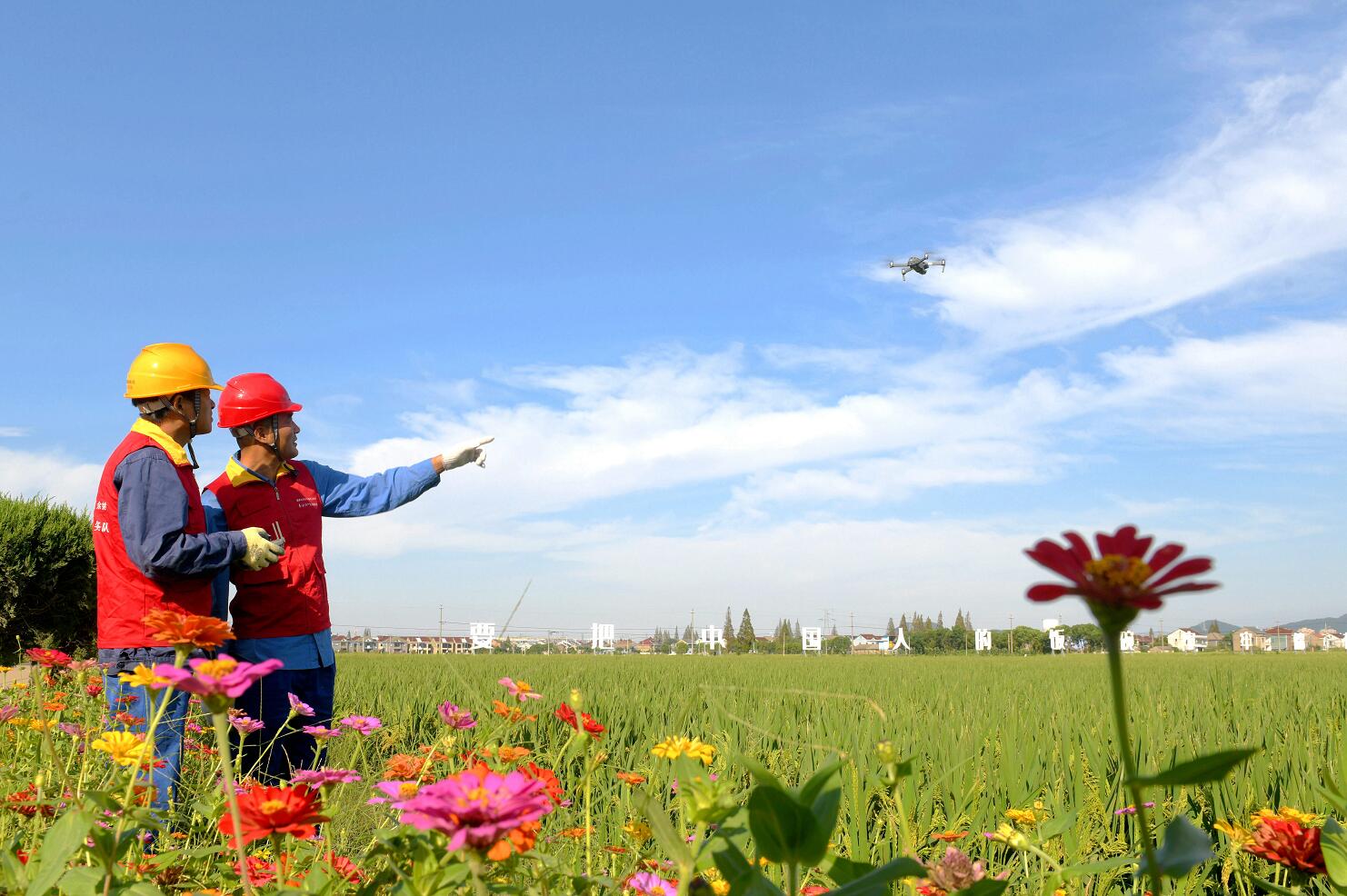 國網余姚市供電公司:保電金十月 秋收好“豐景”