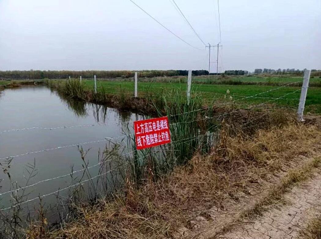 國網(wǎng)濟(jì)寧供電公司治理垂釣隱患,保電網(wǎng)安全運(yùn)行