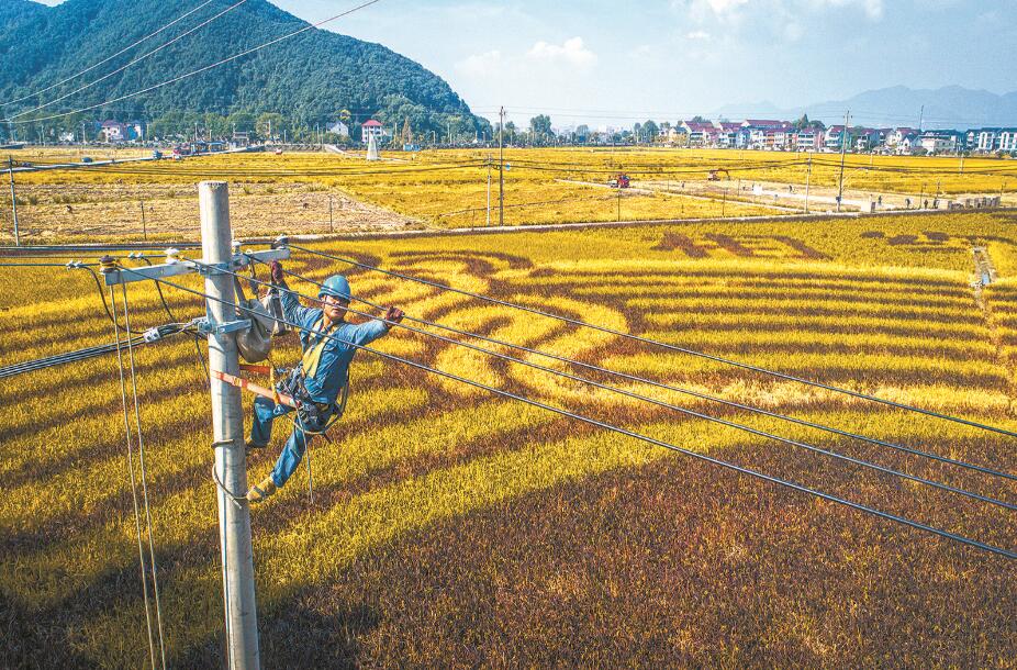 杭州富陽區供電公司改造升級農網,服務農業生產電氣化