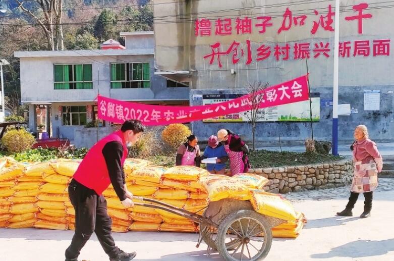 駐村第一書記沈珈磊:退伍不褪色勇做鄉村振興“領頭雁”