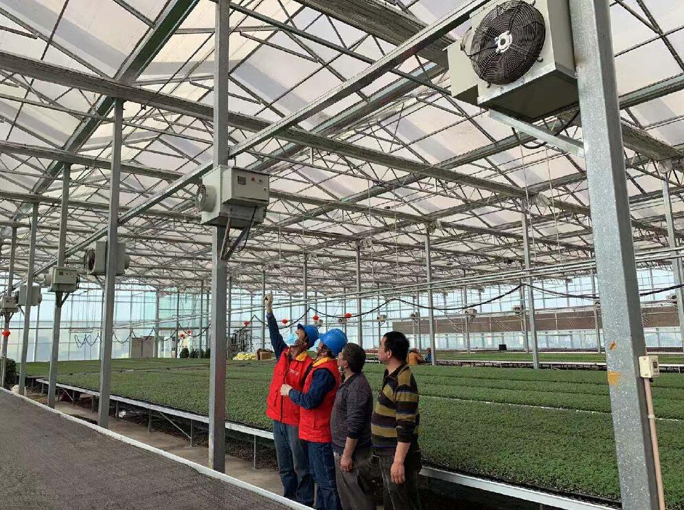 國網庫車市供電公司去現代化育苗大棚開展用電檢查