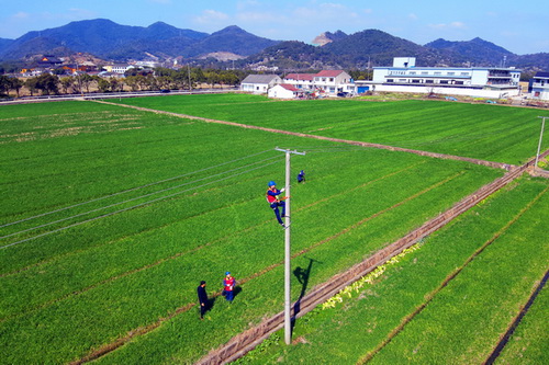 國網寧波市海曙區(qū)供電公司:春耕忙 電力足 萬物生長正當時