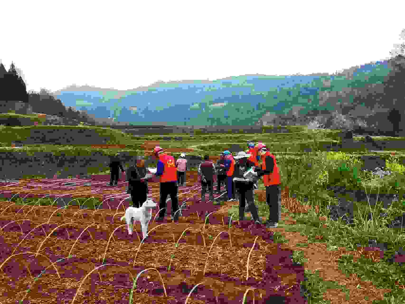 國網巴中供電公司:服務送上門 春灌電力足