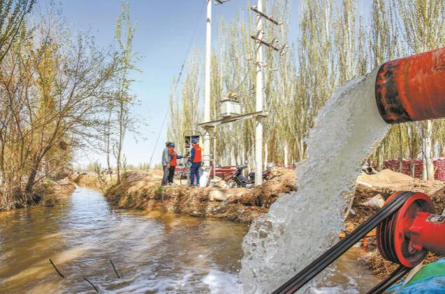 新疆和碩:春來麥返青 春灌動力足