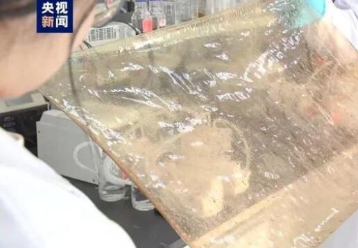 國(guó)產(chǎn)新型離子膜問(wèn)世,有望在新能源的儲(chǔ)能領(lǐng)域廣泛應(yīng)用