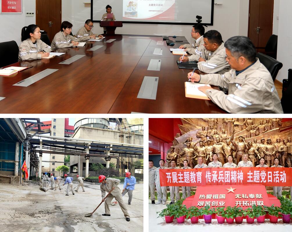 大唐環境特許經營分公司“多彩”主題黨日豐富主題教育形式