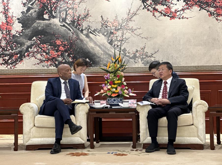 國家能源局局長章建華會見南非總統府電力部部長