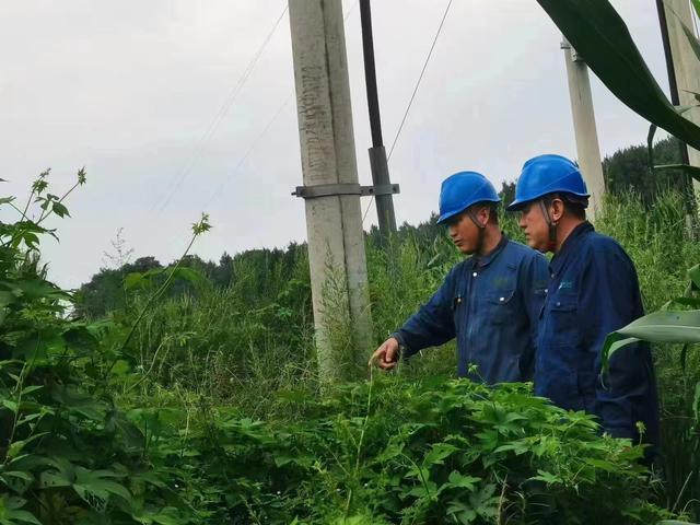 國網長春供電公司積極應對極端天氣,確保線路設備穩定運行