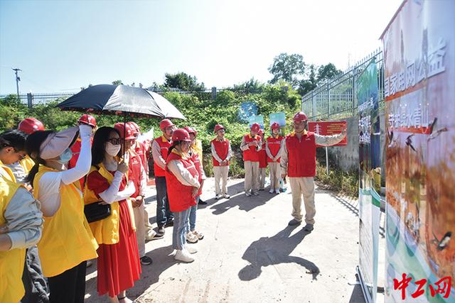 重慶“電力人”播種“生態綠”