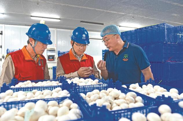 國網漣水縣供電公司鄉村振興注入新動能