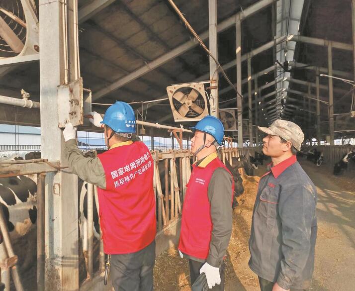 河南蘭考縣:義務為養牛場解決用電問題