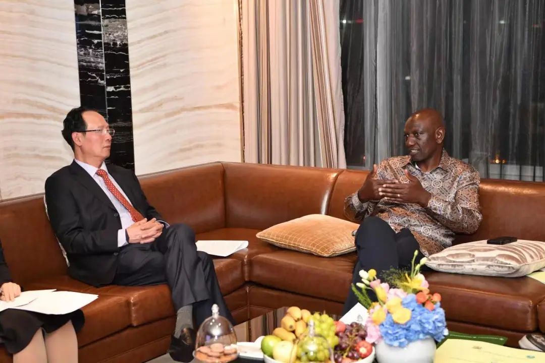 中國電建黨委書記、董事長丁焰章拜會肯尼亞總統魯托