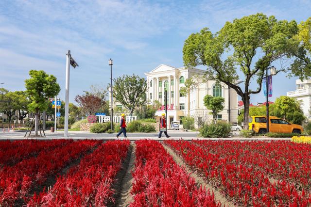 “電靚”和美鄉(xiāng)村,過(guò)去20年,杭州電力做了什么