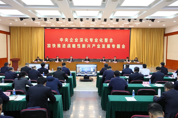 國務院國資委召開中央企業深化專業化整合加快推進戰略性新興產業發展專題會