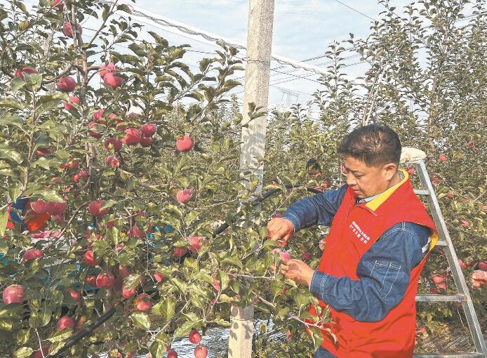 陜西延安供電公司助力地方高質量發展