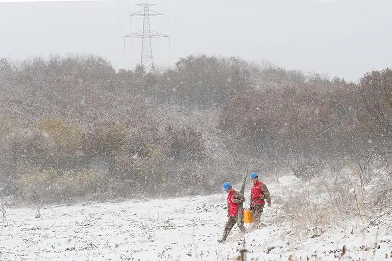 國家電網全力應對寒潮，保障電力可靠供應