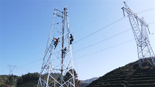 國網壽寧縣供電公司：加快電網建設 打好年末“攻堅戰”