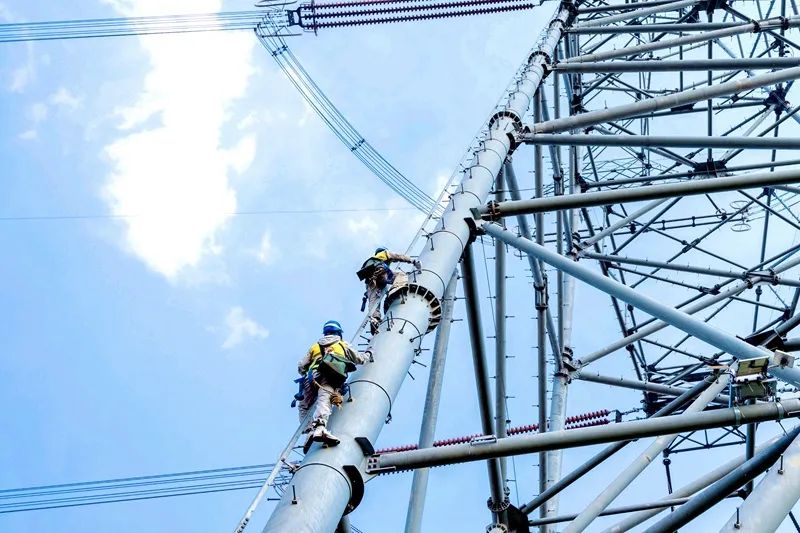 國家電網公司深化國企改革 加快建設世界一流企業