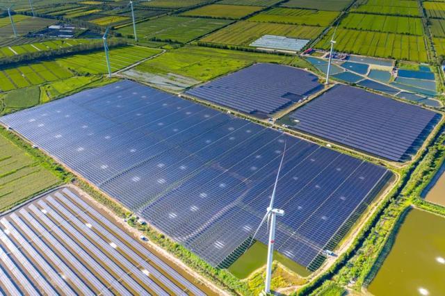 中國“雙碳”之路,要怎么走?