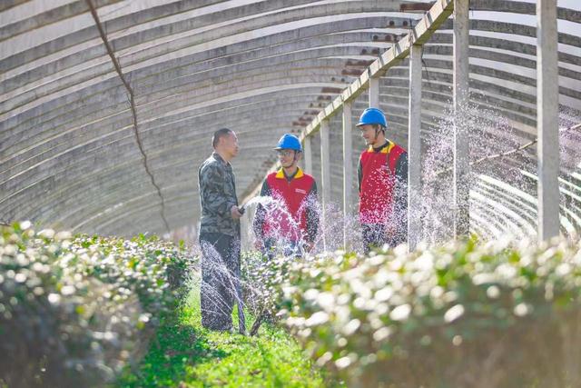 國網濟源供電公司優質電助力鄉村振興