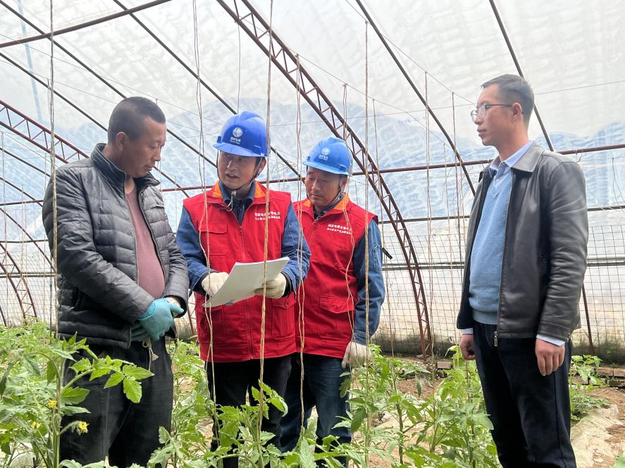 國網慶陽供電公司:守護光明十二載 為民初心永不改