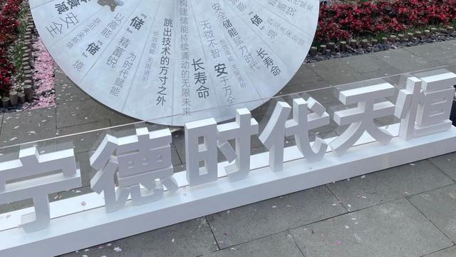 寧德時代:儲能價格競爭并非長久,質(zhì)量提升是關鍵