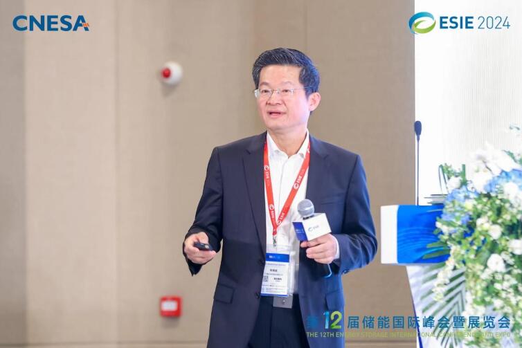 林澤波:儲能企業出海不是價格競爭,而是以定制優質產品和服務實現可持續發展