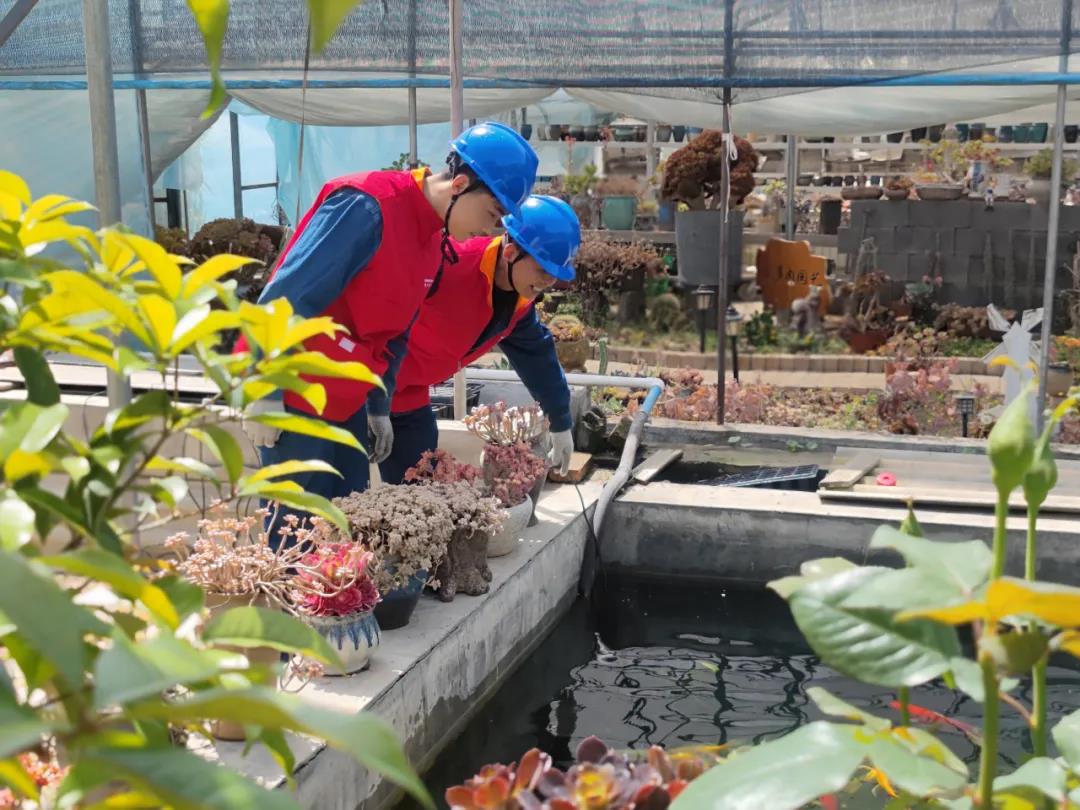 國網寶雞供電公司:電力賦能文旅熱 供電服務促振興