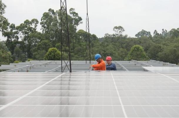 劉付喜:發(fā)揮行業(yè)優(yōu)勢(shì) 助力鄉(xiāng)村振興